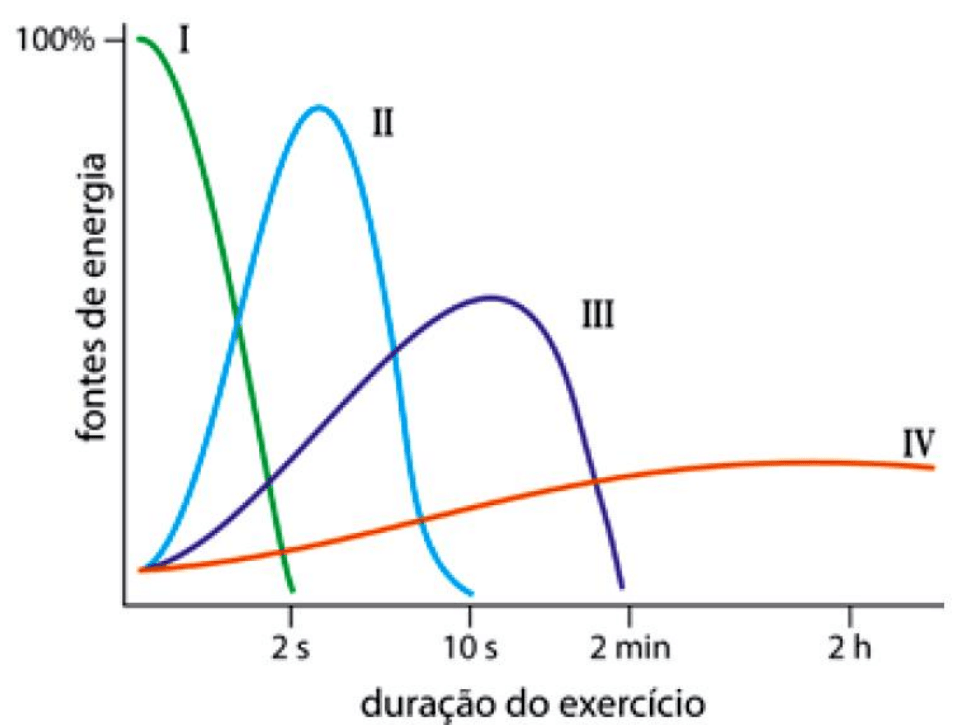 Quatro curvas I–IV de fontes de energia em função da duração do exercício;100%,2s,10s,2min e2h.