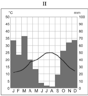 Climograma II com meses J–D, temperatura de 0 a 50 °C à esquerda, precipitação de 0 a 100 mm à direita, barras e curva.