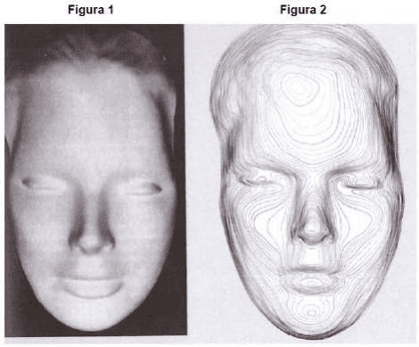 Máscara facial e representação por curvas de nível, Figuras1e2.