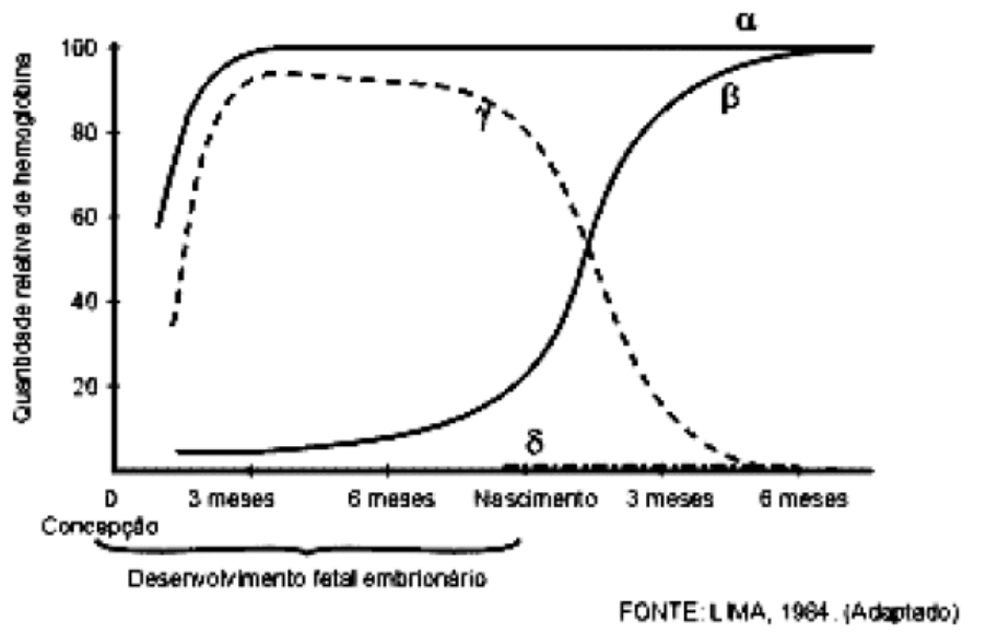 Curvas das cadeias alfa, beta, gama e delta das hemoglobinas durante desenvolvimento embrionário e após nascimento.