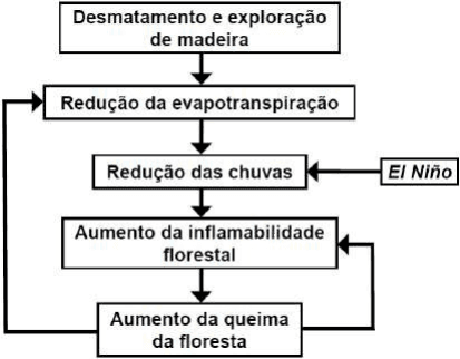 Fluxograma com desmatamento e exploração de madeira, redução da evapotranspiração, redução das chuvas, aumento da inflamabilidade florestal, aumento da queima da floresta e El Niño, ligados por setas.