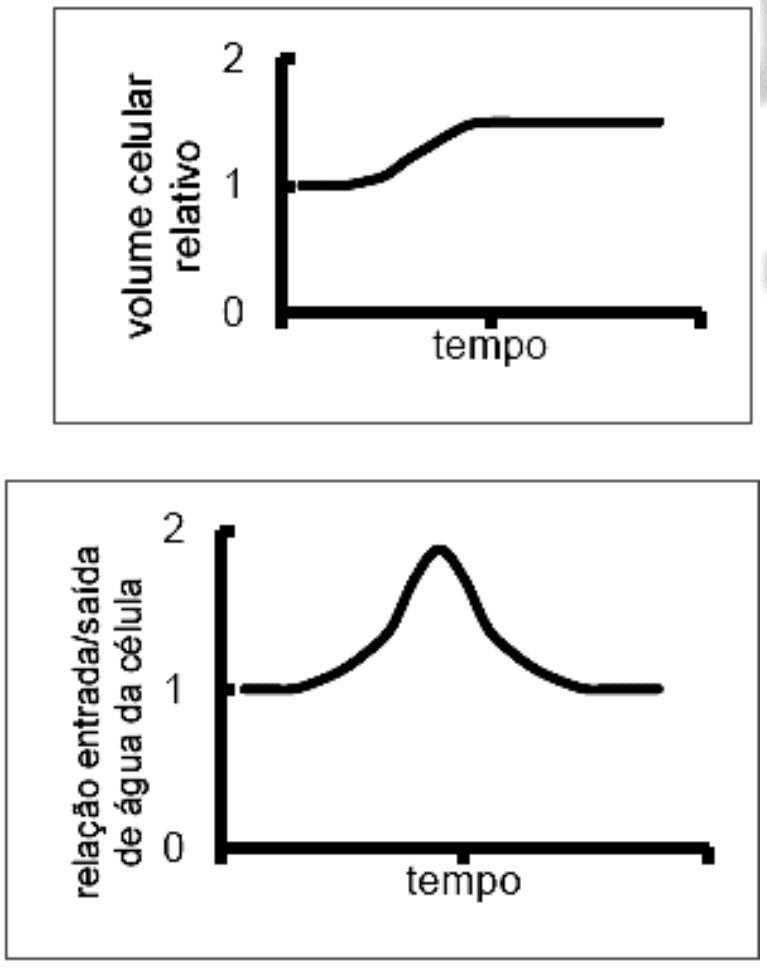 Par de gráficos: volume celular relativo e relação entrada/saída de água no tempo, grupo indicado por letra editável. Recurso graficos-a.