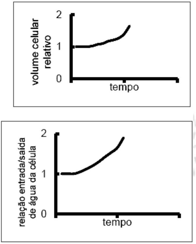 Par de gráficos: volume celular relativo e relação entrada/saída de água no tempo, grupo indicado por letra editável. Recurso graficos-c.