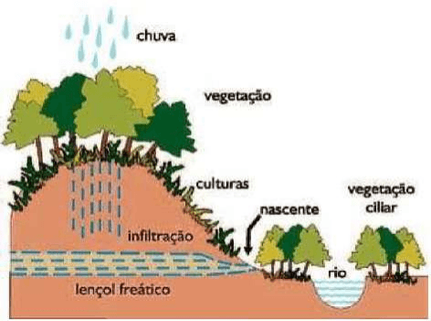 Perfil do terreno com chuva, vegetação, culturas, infiltração, nascente, lençol freático, rio e vegetação ciliar, todos rotulados.