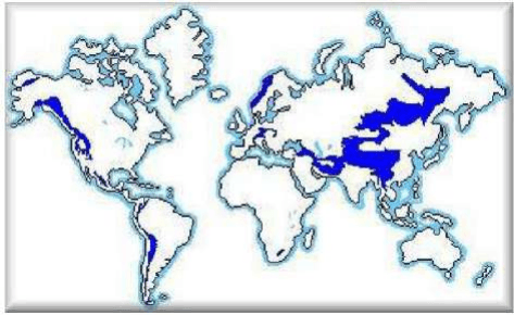 Planisfério com áreas destacadas em azul escuro em diferentes latitudes, contornos dos continentes e moldura.