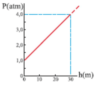 Gráfico da alternativa B.