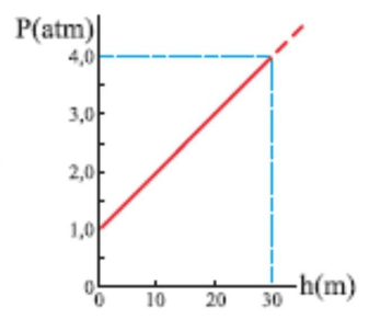 Gráfico da alternativa D.
