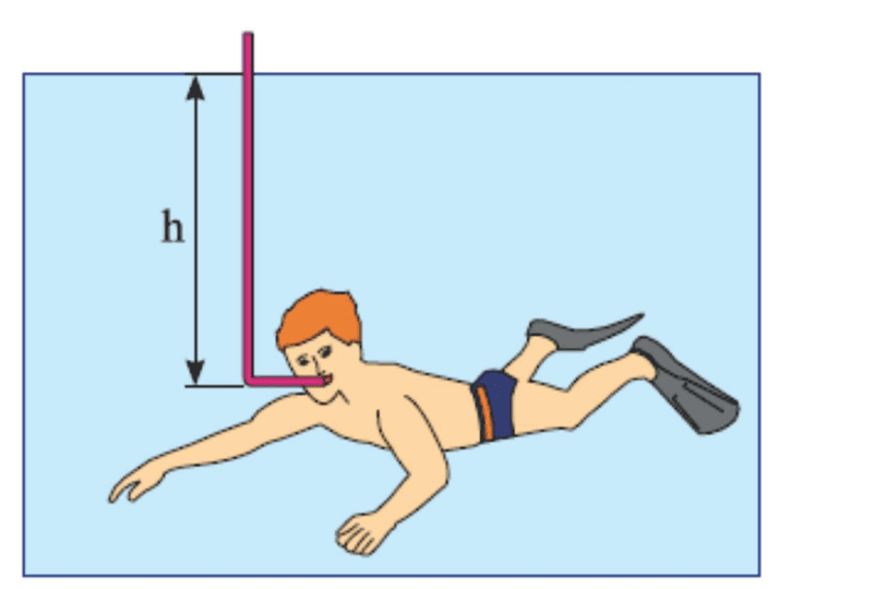 Mergulhador respirando por snorkel a profundidade h.