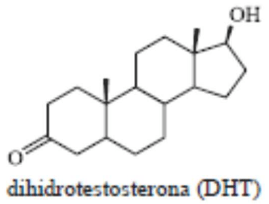 Estrutura da dihidrotestosterona (DHT).
