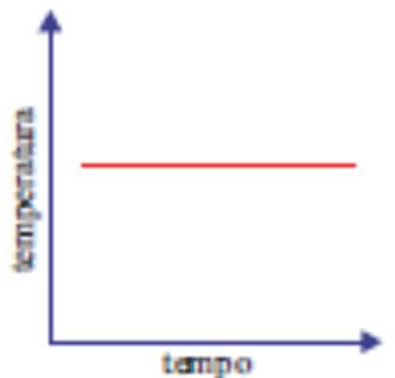 Curva E: temperatura constante.