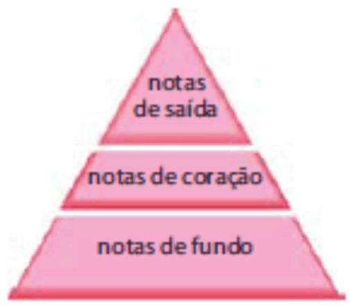 Pirâmide olfativa com notas de saída, de coração e de fundo.