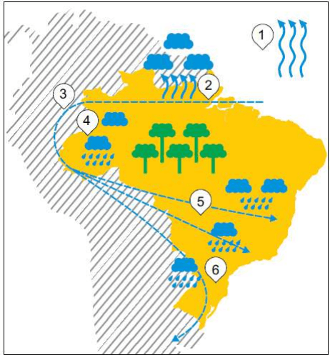 Mapa da América do Sul com etapas numeradas 1–6 dos rios voadores, setas, árvores e nuvens.