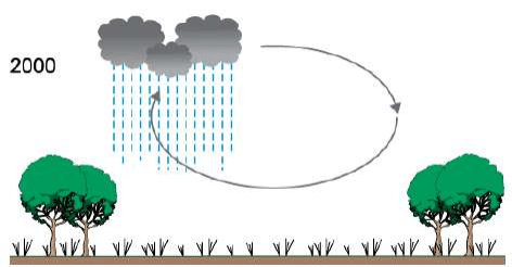 Corte esquemático2000: desmatamento e redistribuição da chuva.