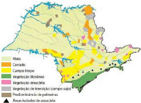 Cobertura vegetal primitiva de São Paulo: mapa com mata, cerrado, campo limpo, vegetação litorânea, araucária, transição/campo sujo, palmeiras e símbolo de áreas isoladas de araucária; oito legendas completas.