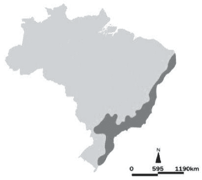 Mapa do Brasil com faixa escura junto ao litoral e parte do interior, seta norte e escala de 0, 595 e 1190 km.