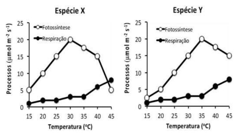 Dois gráficos, Espécie X e Espécie Y, com processos de fotossíntese e respiração em função da temperatura, escalas, unidades e legendas.