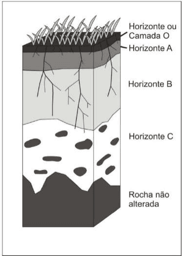 Perfil de solo com horizontes O,A,B,C e rocha não alterada.