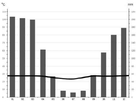 Climograma com meses01–12, eixo°C à esquerda, mm à direita, barras de precipitação e curva de temperatura.