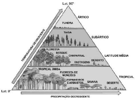 Diagrama triangular entre as latitudes 0° e 90°, com biomas terrestres, faixas tropical, latitude média, subártico e ártico; setas de temperatura decrescente e precipitação decrescente.