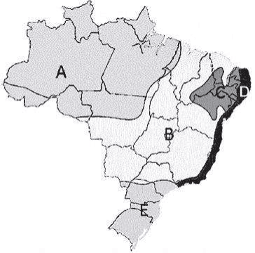 Mapa climático brasileiro com áreas e letrasA,B,C,D,E; contorno completo. A no Norte,B central,C no interior nordestino,D litoral,E no Sul.