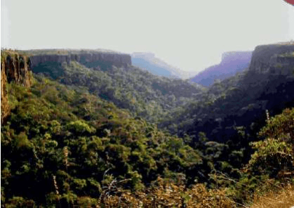 Fotografia de relevo tabular com paredão e estratificação rochosa horizontal.