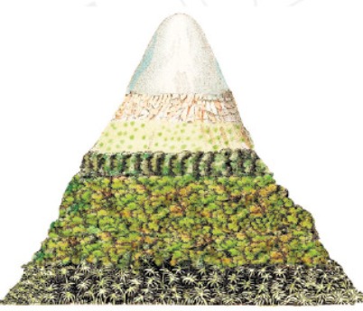 Imagem incorporada pela fonte (Kuadro) sem texto alternativo; conteúdo a descrever na revisão.