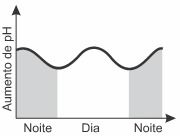 Imagem incorporada pela fonte (Kuadro) sem texto alternativo; conteúdo a descrever na revisão.
