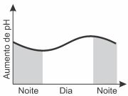 Imagem incorporada pela fonte (Kuadro) sem texto alternativo; conteúdo a descrever na revisão.
