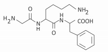 Imagem incorporada pela fonte (Kuadro) sem texto alternativo; conteúdo a descrever na revisão.