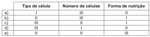 Imagem incorporada pela fonte (Kuadro) sem texto alternativo; conteúdo a descrever na revisão.