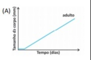 Imagem incorporada pela fonte (Kuadro) sem texto alternativo; conteúdo a descrever na revisão.