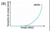 Imagem incorporada pela fonte (Kuadro) sem texto alternativo; conteúdo a descrever na revisão.