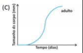 Imagem incorporada pela fonte (Kuadro) sem texto alternativo; conteúdo a descrever na revisão.