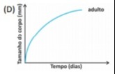 Imagem incorporada pela fonte (Kuadro) sem texto alternativo; conteúdo a descrever na revisão.