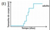 Imagem incorporada pela fonte (Kuadro) sem texto alternativo; conteúdo a descrever na revisão.