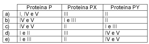 Imagem incorporada pela fonte (Kuadro) sem texto alternativo; conteúdo a descrever na revisão.