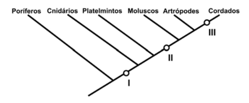 Imagem incorporada pela fonte (Kuadro) sem texto alternativo; conteúdo a descrever na revisão.