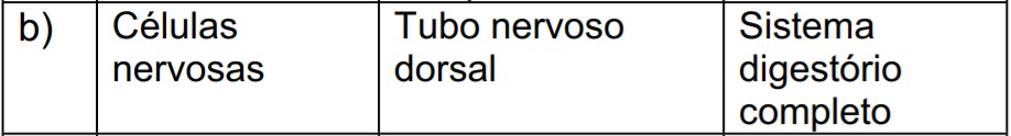 Imagem incorporada pela fonte (Kuadro) sem texto alternativo; conteúdo a descrever na revisão.