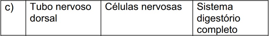 Imagem incorporada pela fonte (Kuadro) sem texto alternativo; conteúdo a descrever na revisão.