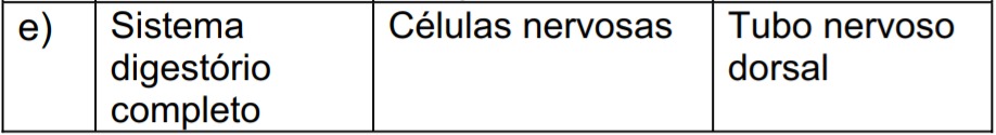 Imagem incorporada pela fonte (Kuadro) sem texto alternativo; conteúdo a descrever na revisão.
