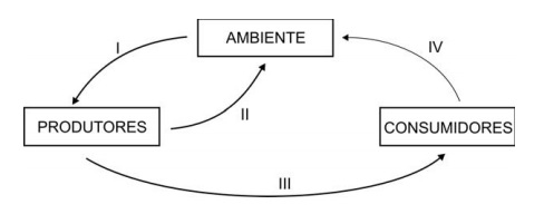 Imagem incorporada pela fonte (Kuadro) sem texto alternativo; conteúdo a descrever na revisão.
