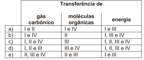 Imagem incorporada pela fonte (Kuadro) sem texto alternativo; conteúdo a descrever na revisão.
