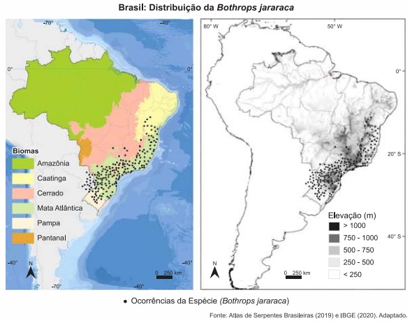 Imagem incorporada pela fonte (Kuadro) sem texto alternativo; conteúdo a descrever na revisão.