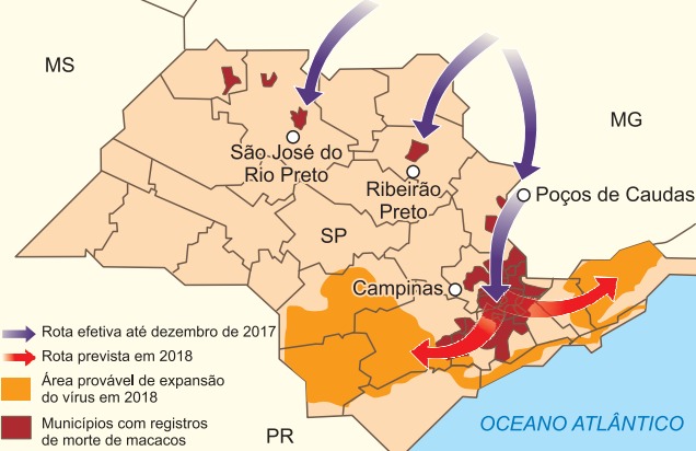Imagem incorporada pela fonte (Kuadro) sem texto alternativo; conteúdo a descrever na revisão.