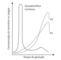 Imagem incorporada pela fonte (Kuadro) sem texto alternativo; conteúdo a descrever na revisão.