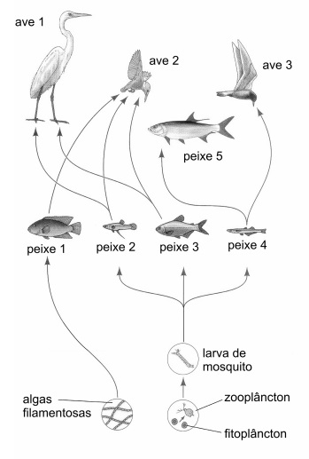 Imagem incorporada pela fonte (Kuadro) sem texto alternativo; conteúdo a descrever na revisão.
