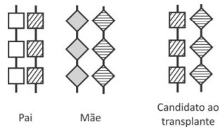 Imagem incorporada pela fonte (Kuadro) sem texto alternativo; conteúdo a descrever na revisão.
