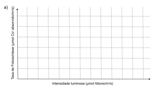 Imagem incorporada pela fonte (Kuadro) sem texto alternativo; conteúdo a descrever na revisão.