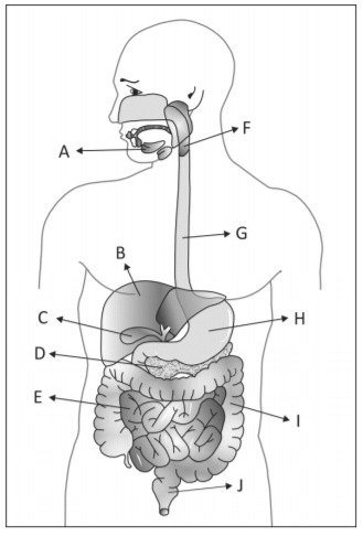 Imagem incorporada pela fonte (Kuadro) sem texto alternativo; conteúdo a descrever na revisão.