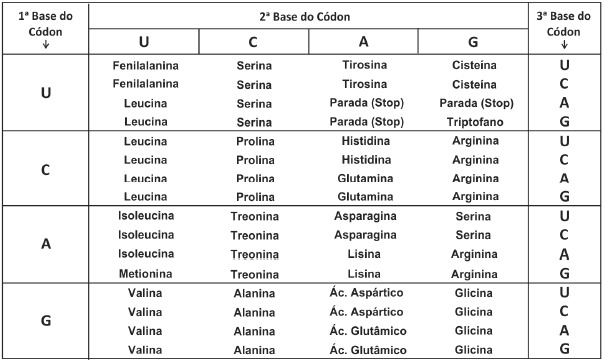Imagem incorporada pela fonte (Kuadro) sem texto alternativo; conteúdo a descrever na revisão.